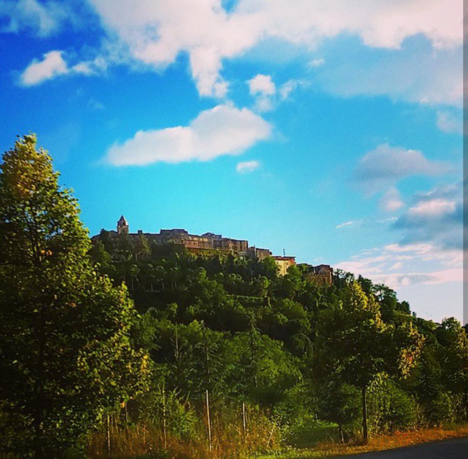 Hotel Delle Ortensie Fiuggi Buitenkant foto